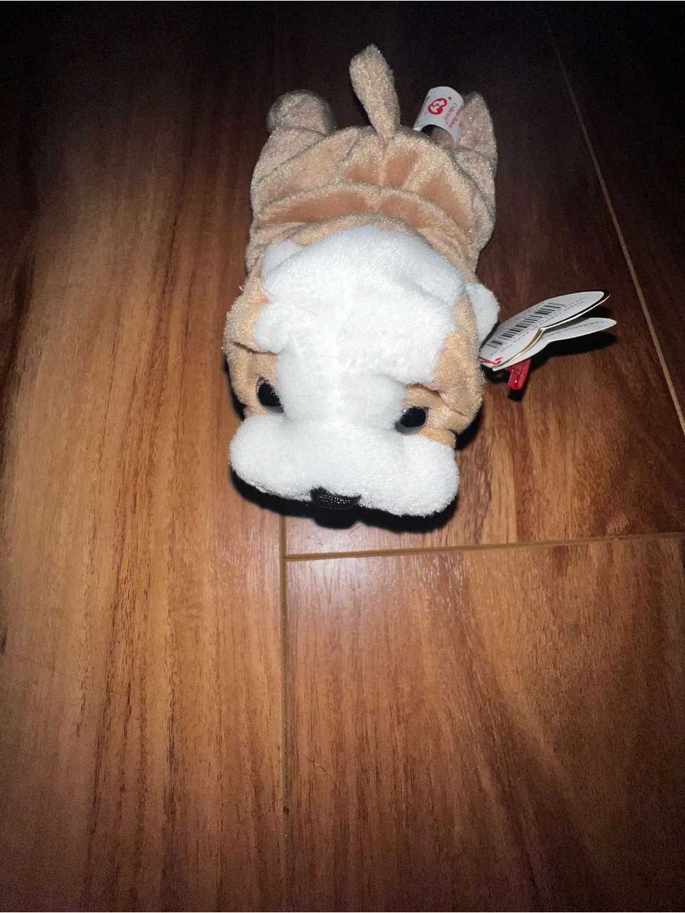 Ty beanie baby wrinkles